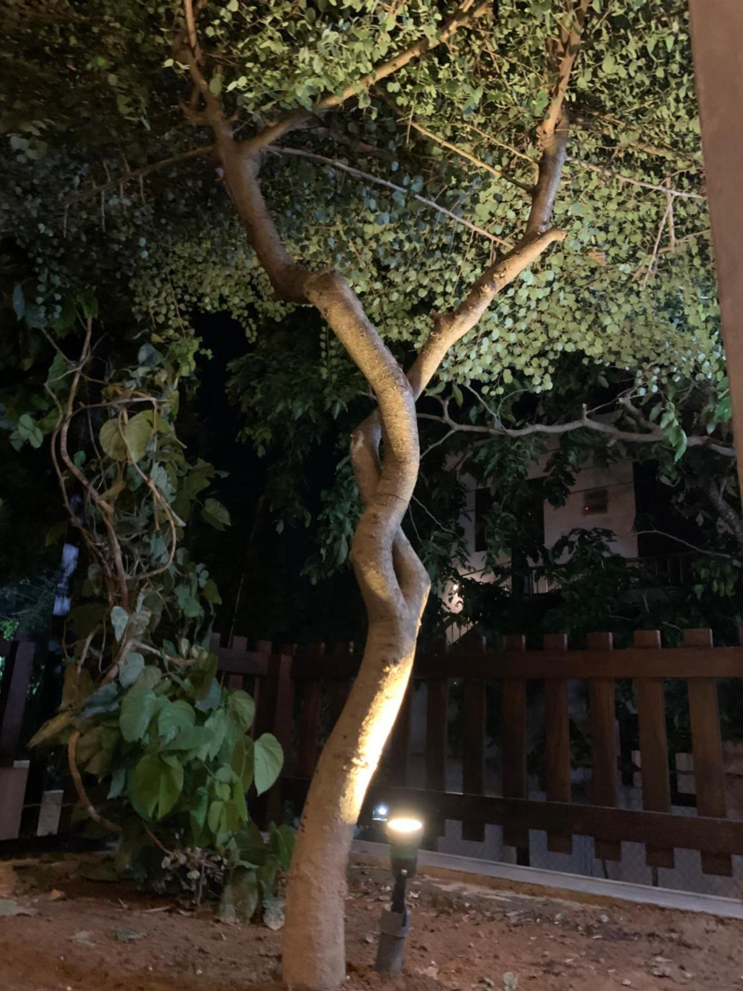 Thaproo Bay Hiriketiya Bed & Breakfast Диквела Екстериор снимка