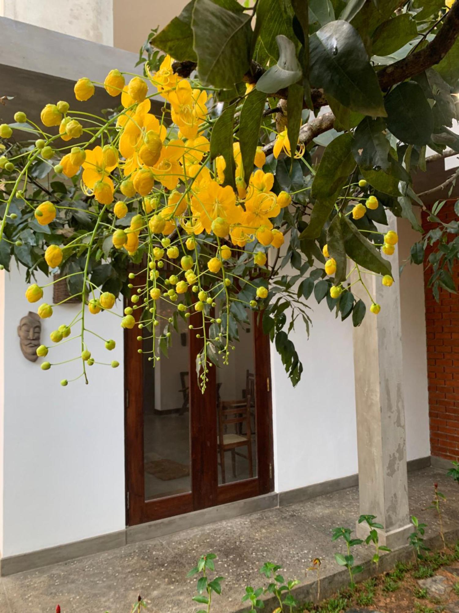 Thaproo Bay Hiriketiya Bed & Breakfast Диквела Екстериор снимка