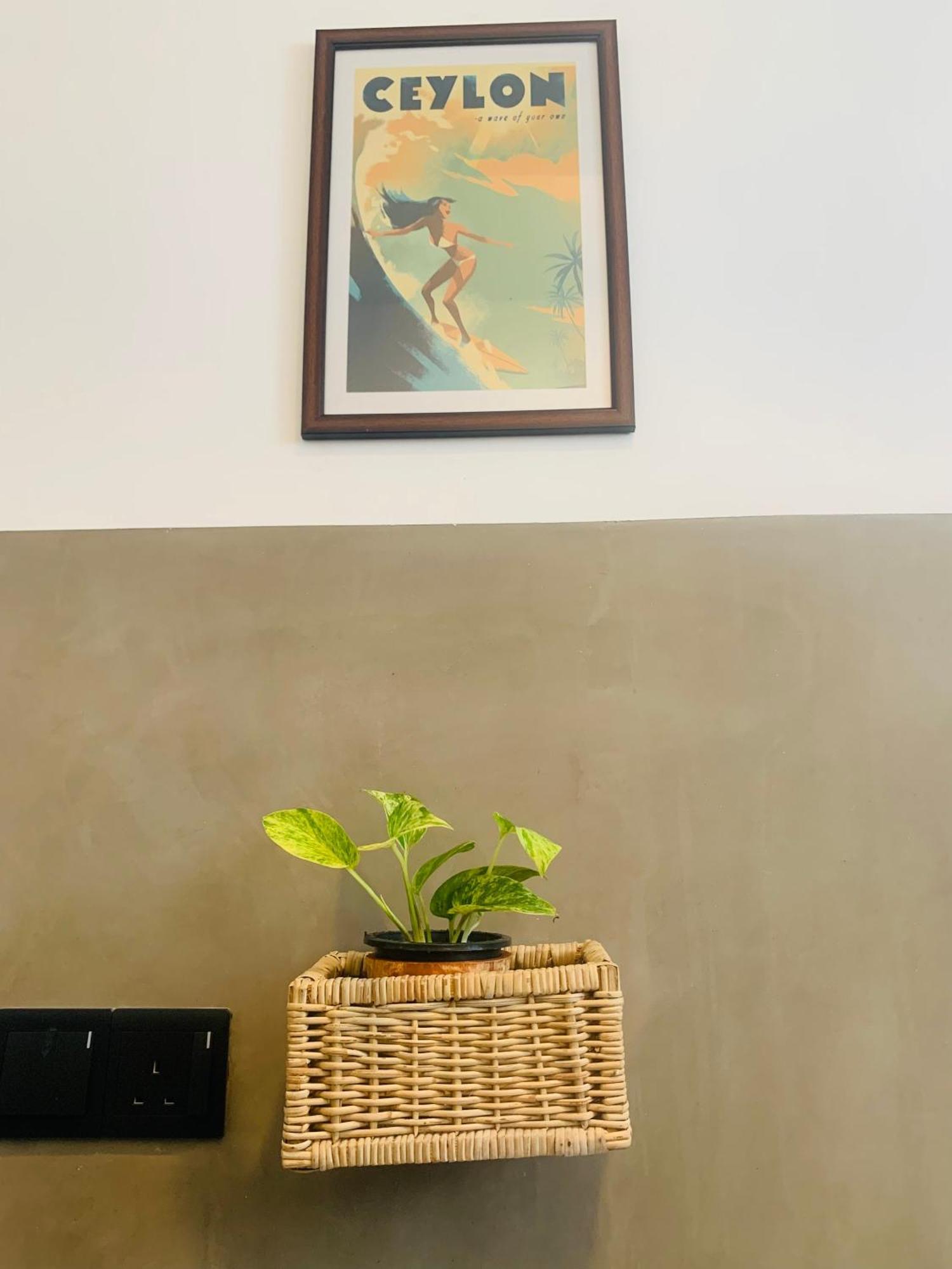 Thaproo Bay Hiriketiya Bed & Breakfast Диквела Екстериор снимка